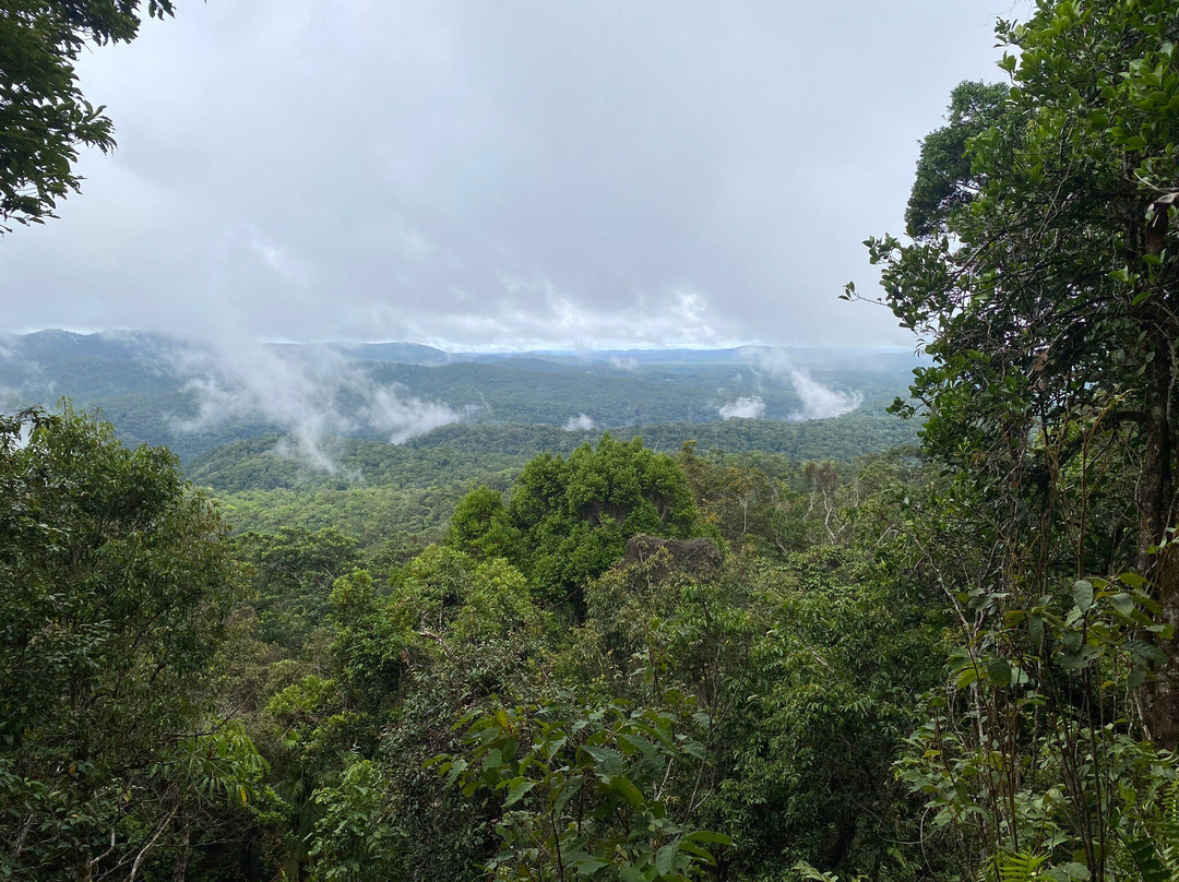 Kuranda National Park景点图片