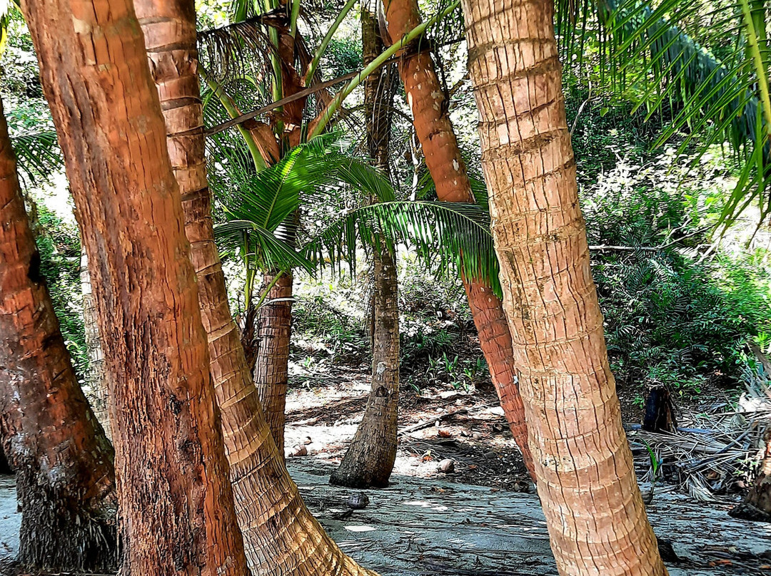 La Loma Del Mango主图