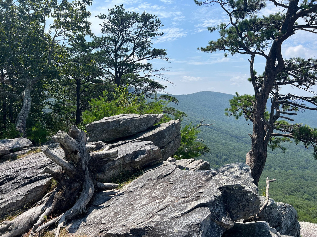Pulpit Rock Trail-Delta必去景点