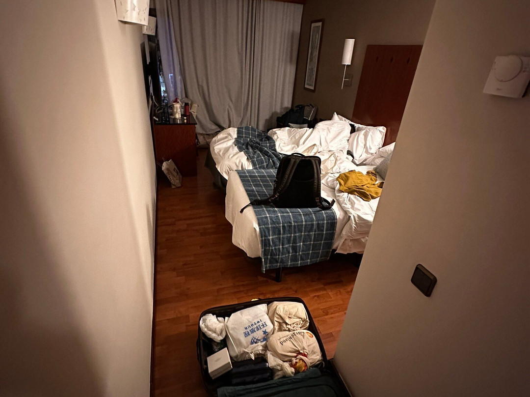 威尔第大酒店主图