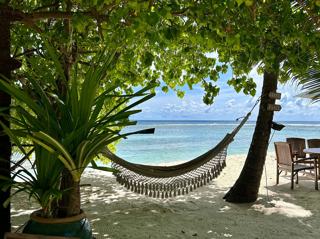 麦特楼住宿加早餐旅馆主图