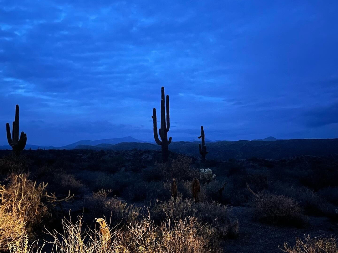 Scottsdale Adventure Tours-斯科茨代尔必去景点