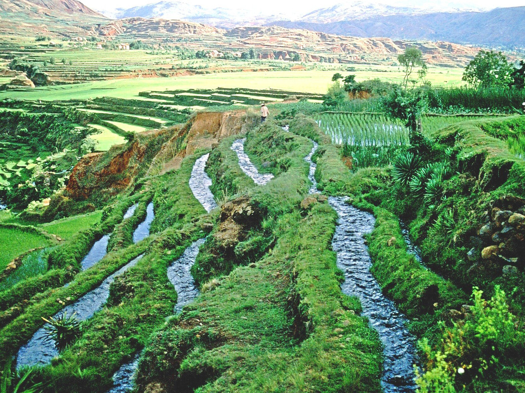 Rizières des Hauts Plateaux景点图片