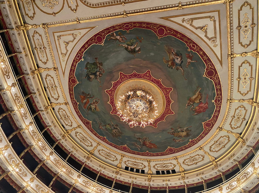 Teatro Regio景点图片