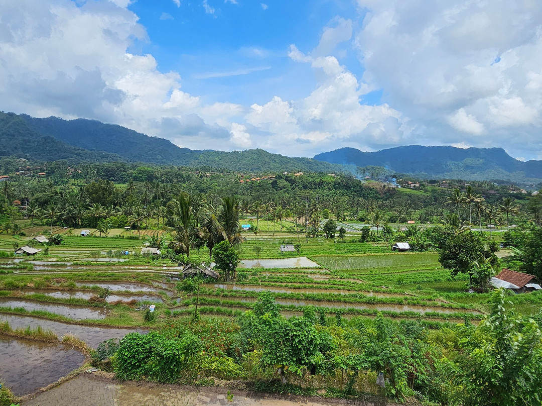 Bukit Luah Sidemen主图