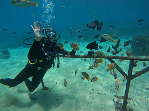Sober Diving Center- lembongan-蓝梦岛必去景点