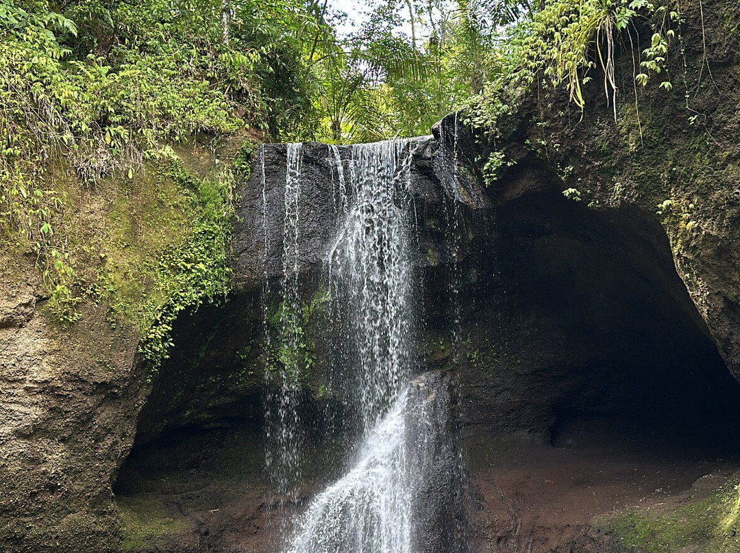 Bali Cultural Tour景点图片