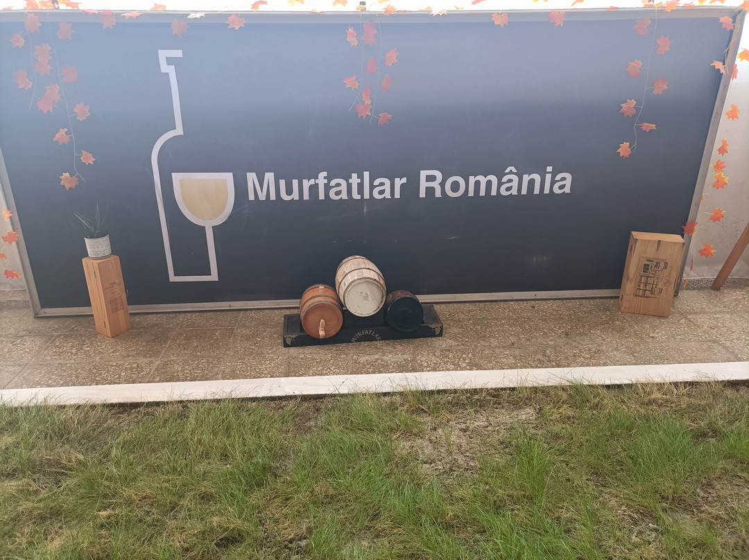Murfatlar Winery-Murfatlar必去景点