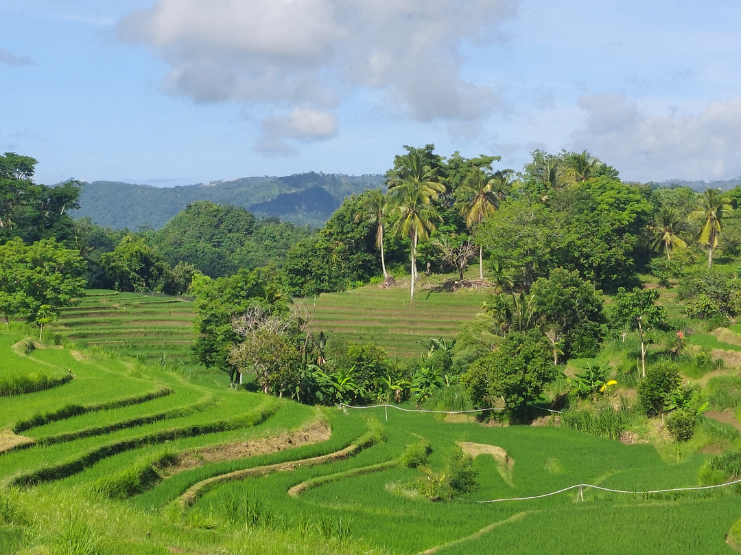 Lombok Eco Tour景点图片