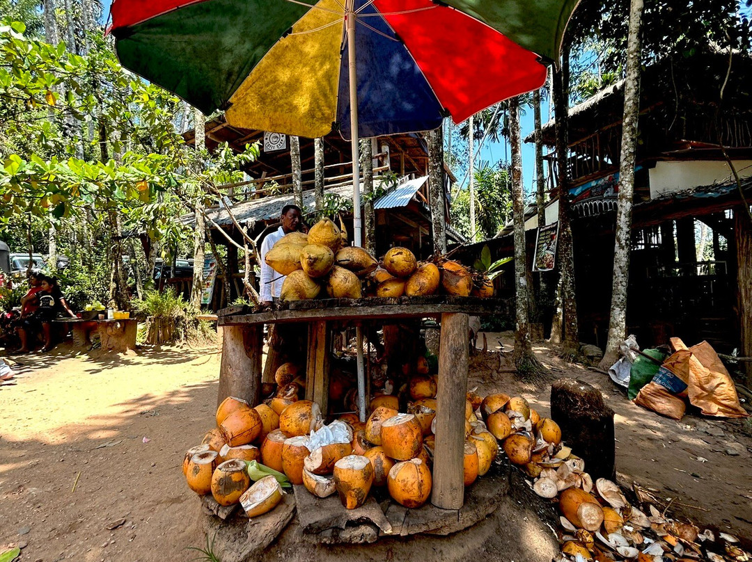 PS Tours Pasikuda-卡尔库达必去景点