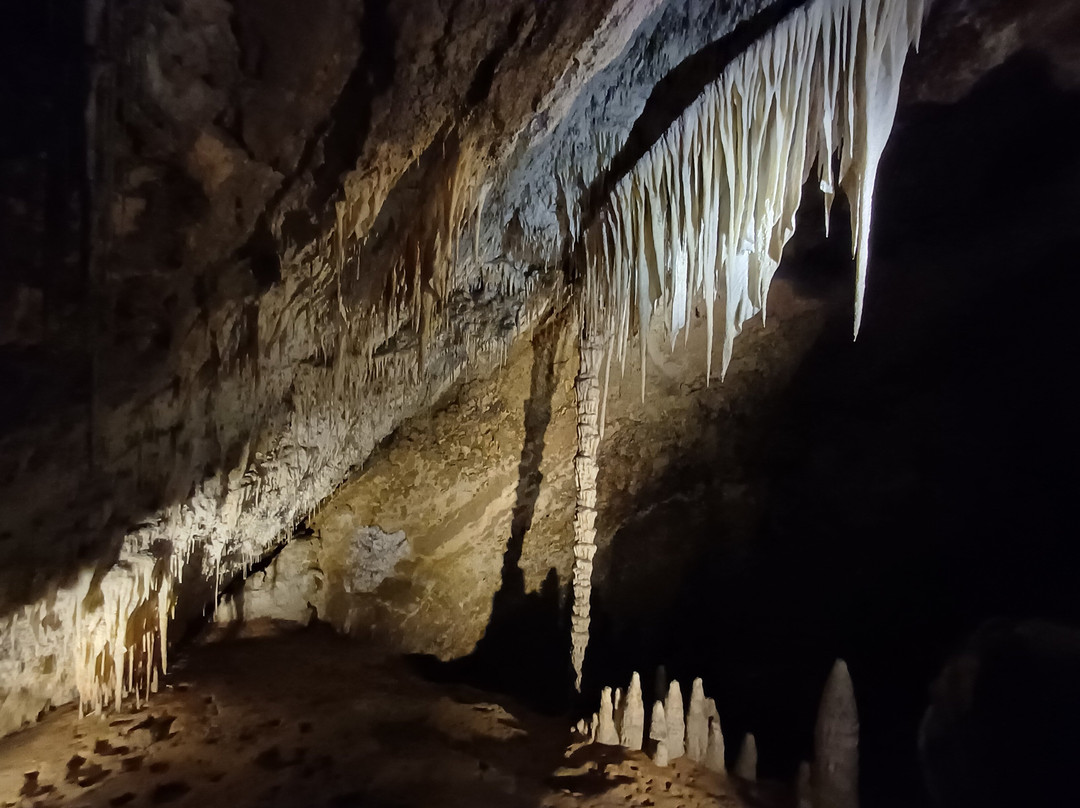 Marakoopa Cave-茉莉溪必去景点