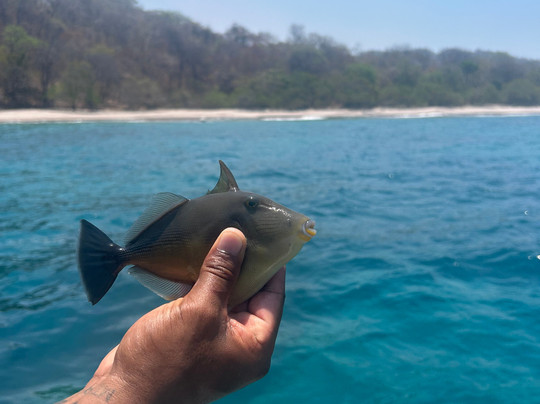 Remember Costa Rica-塔马林多必去景点