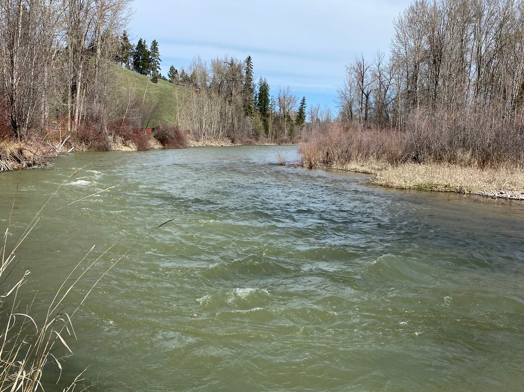 Lawrence Park-卡利斯佩尔必去景点