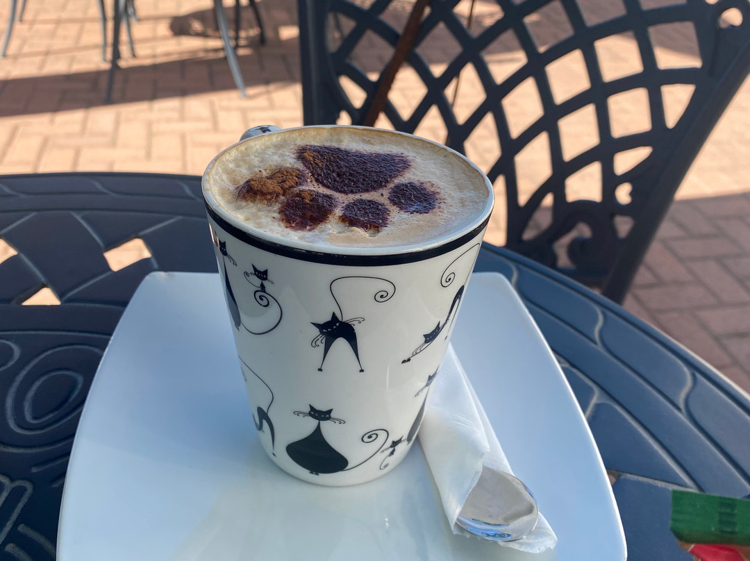 Cat Heaven Rescue Cat Cafe-西索美塞必去景点