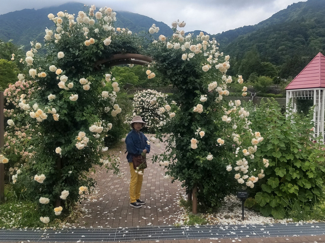 Fujikawa Craft Park景点图片