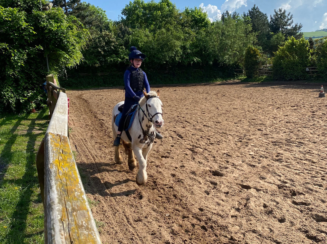 Bridlewood Equestrian Centre景点图片