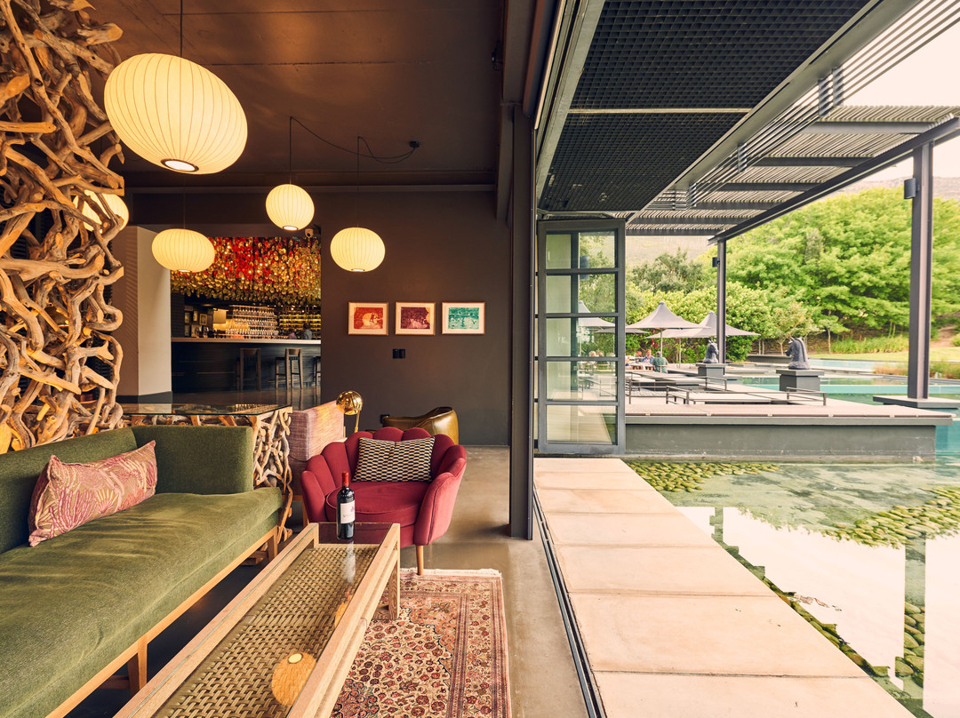 Steenberg Vineyards-康士坦提亚必去景点