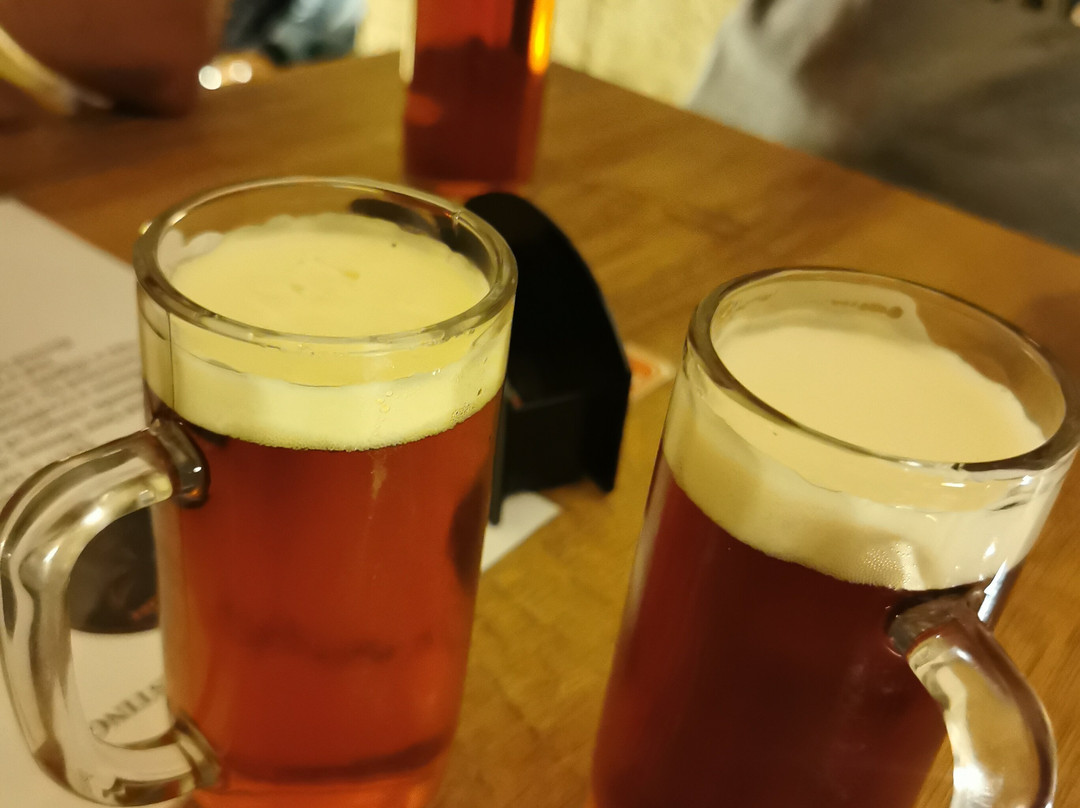 Czech Beer Museum-布拉格必去景点
