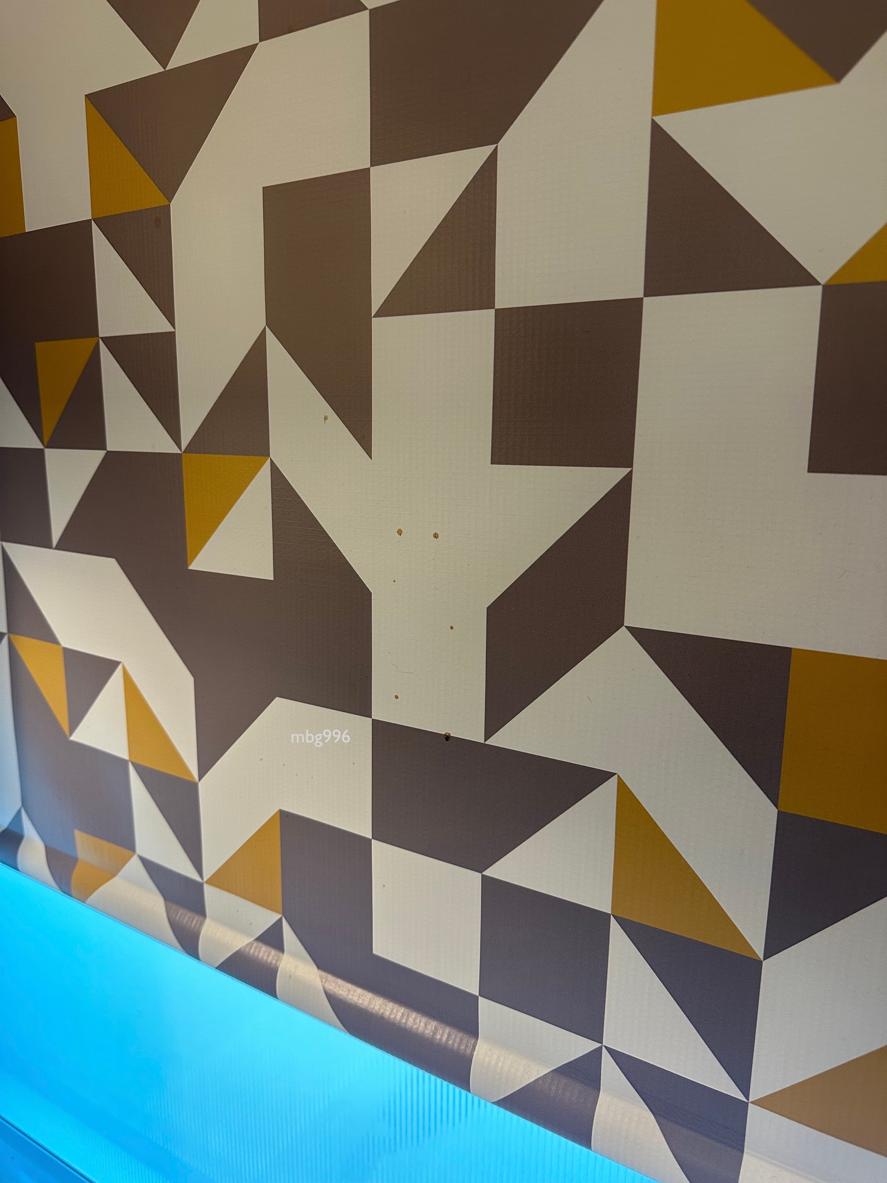 Homewood Suites by Hilton Lynchburg-客卧