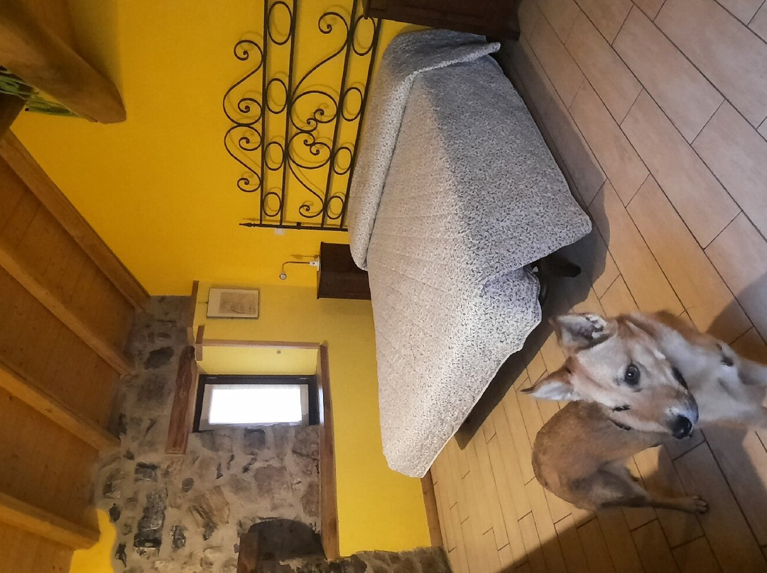 Agriturismo Al-Marnich主图