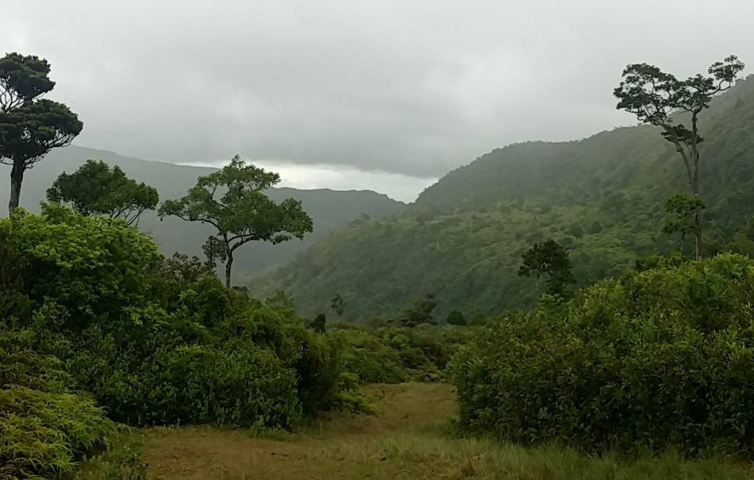 Real Mauritius-莫卡必去景点