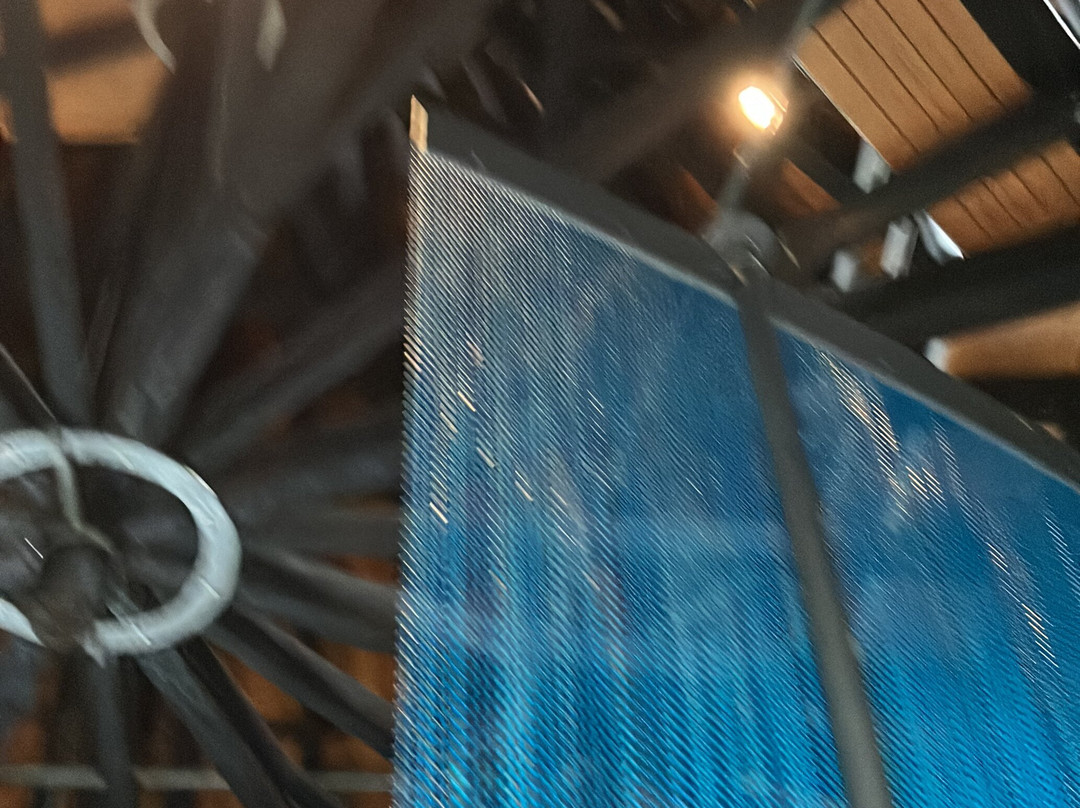 Aquarius Wassermuseum景点图片