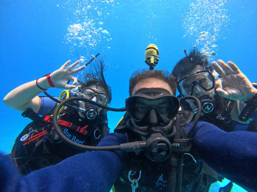 Crazy Dolphin Diving Center-赫尔格达必去景点
