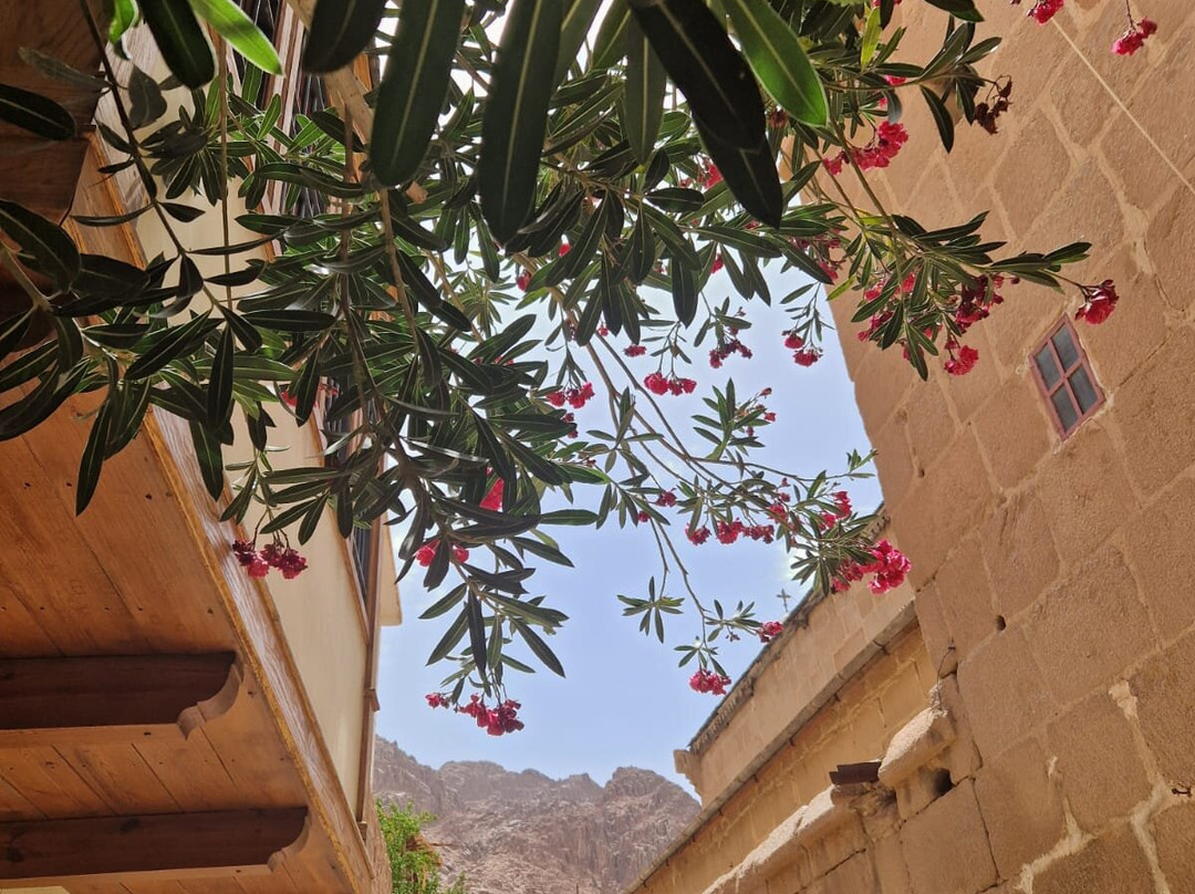 St. Catherine's Monastery-圣卡特琳娜地区必去景点