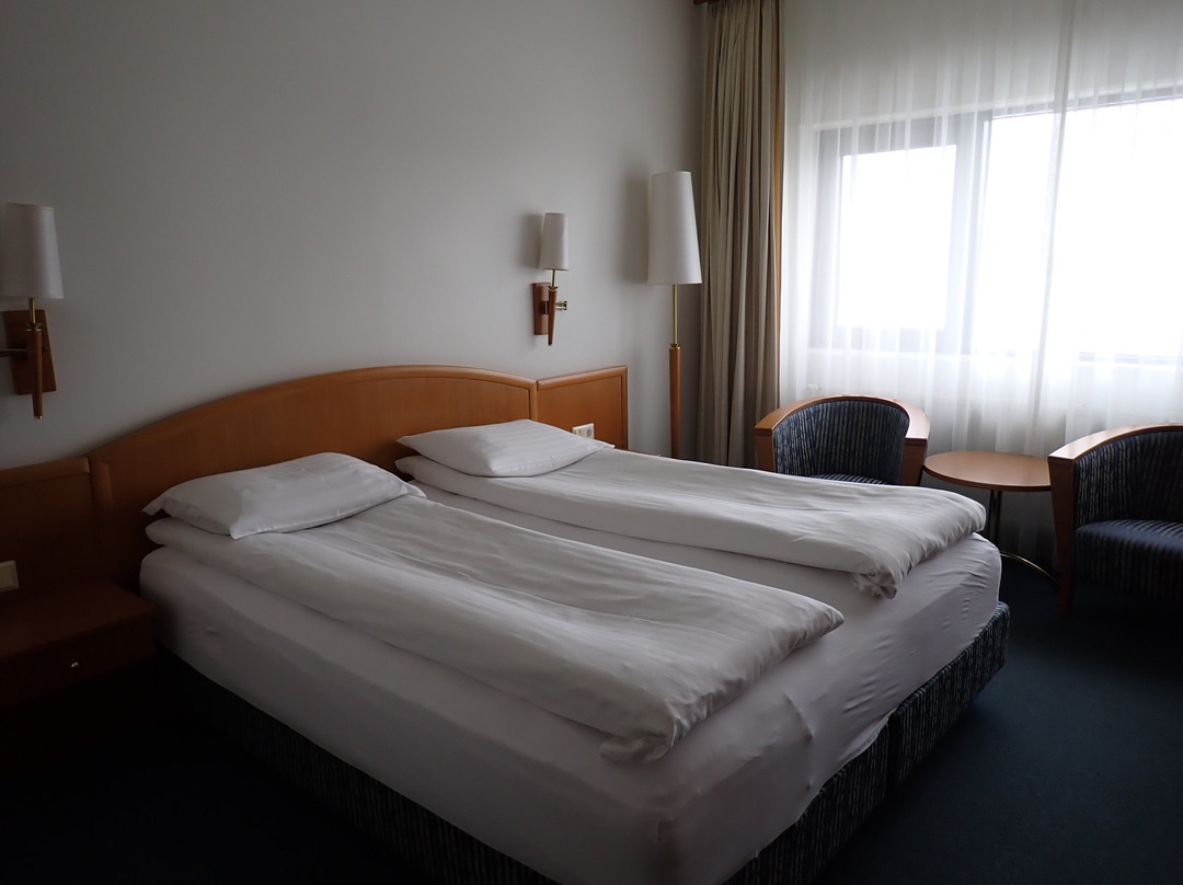 赛尔福斯酒店主图