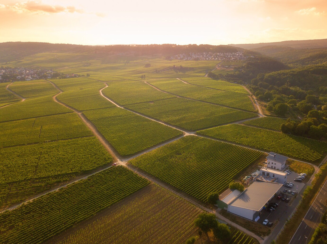 盖森海姆餐馆和美食-Weingut Sohns