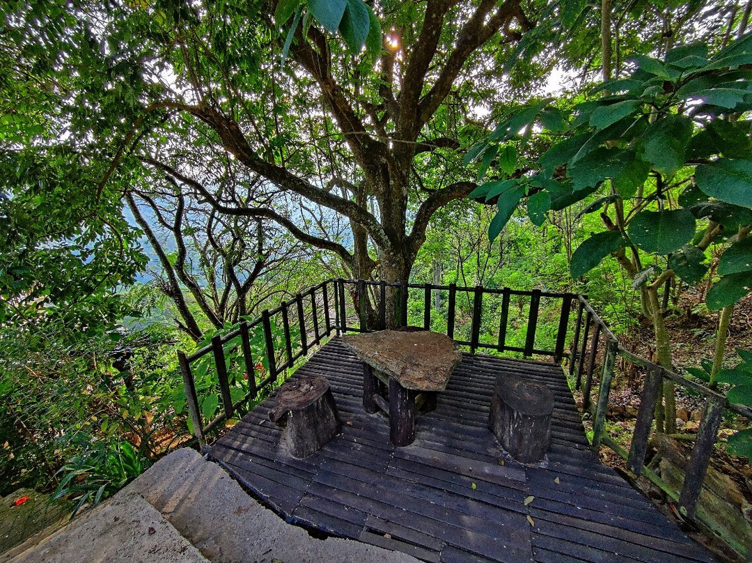 Brisk Ella Retreat主图