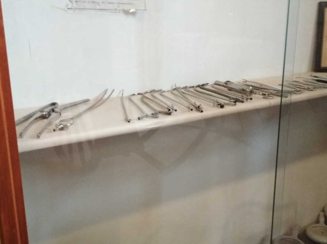 Museo della Misericordia景点图片