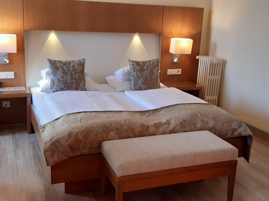 Hotel Weisses Kreuz主图