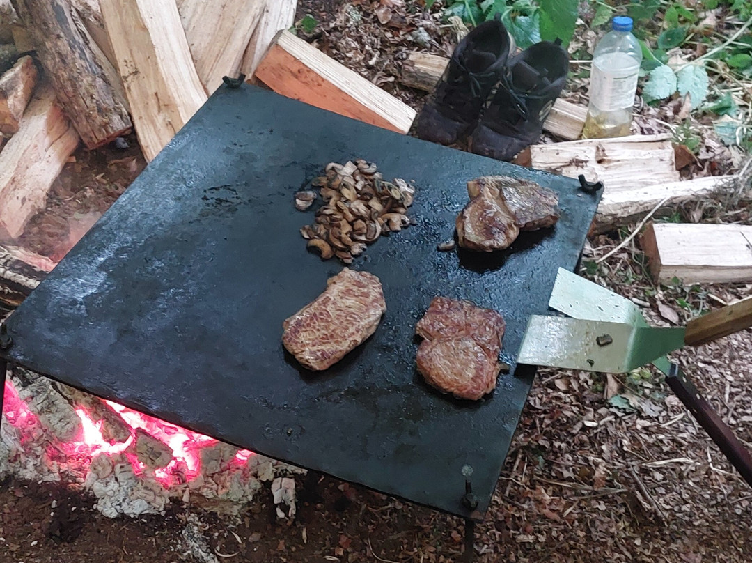 Basic Bushcraft景点图片