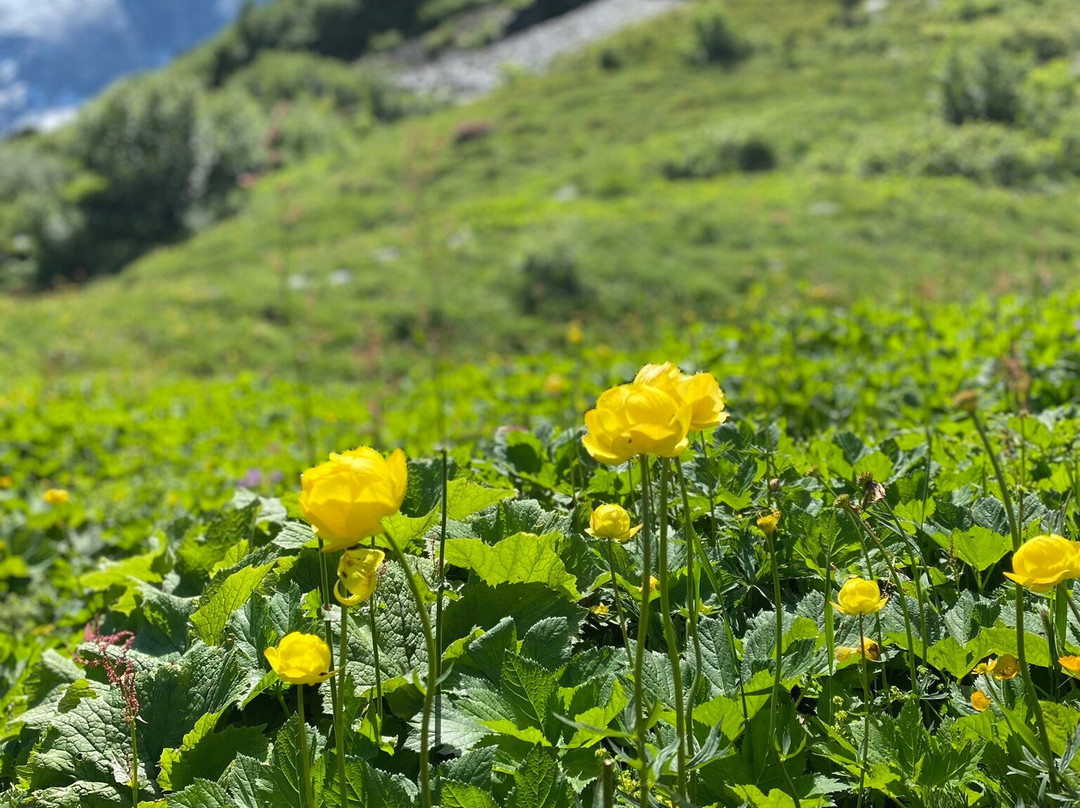 Maennlichen Romantic Trail-格林德瓦必去景点