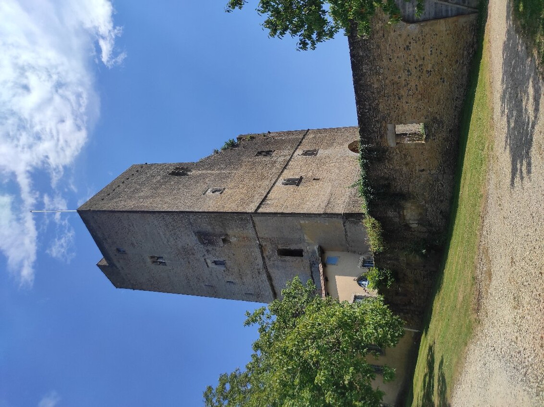 Tour De Termes D'armagnac景点图片