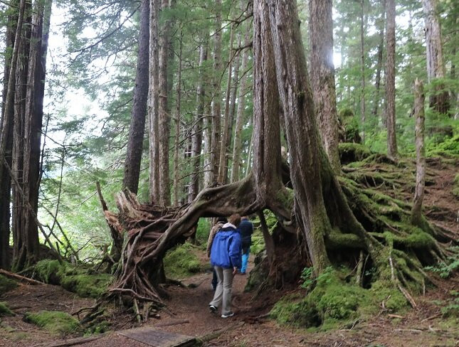 Starrigavan Recreation Area-锡特卡必去景点