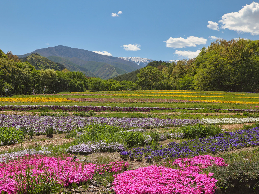 Alps Azumino National Government Park - Horigane/Hotaka景点图片