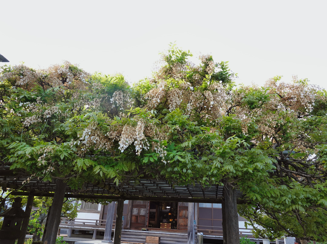 Tokaku-in-二宫町必去景点