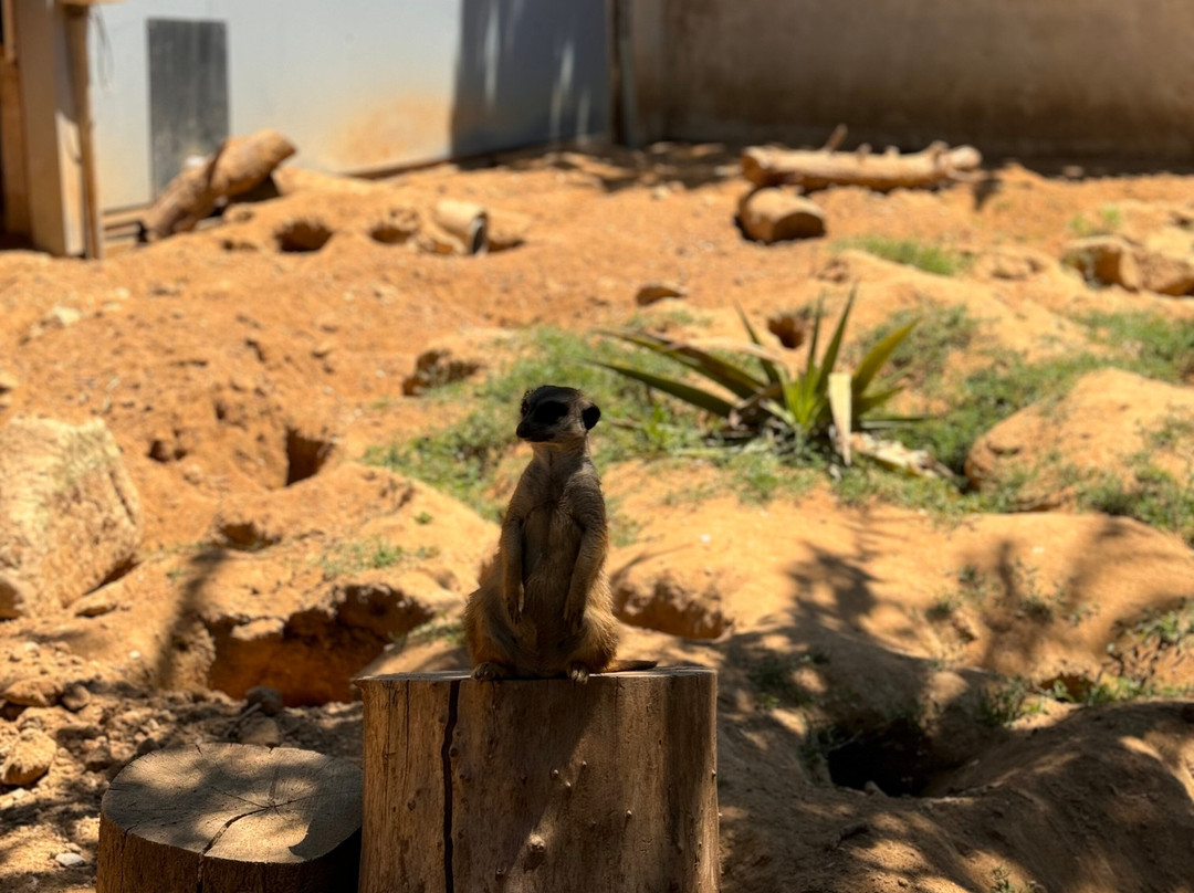 Zoo d'Upie Le Jardin Aux Oiseaux景点图片