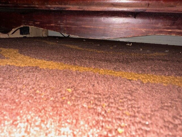 Mockingbird Inn & Suites主图