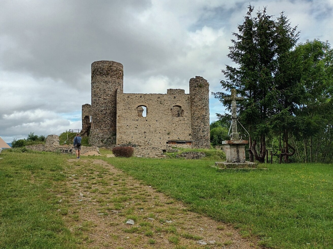 Château d'Urfé景点图片