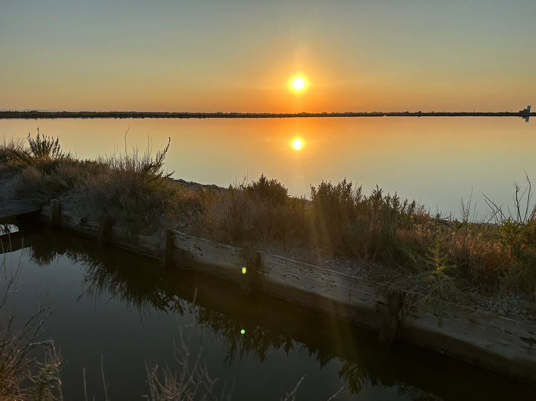 Parco della Salina di Cervia景点图片