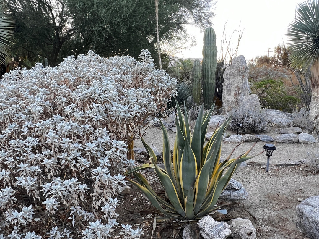 Abdnha Desert Garden-波瑞戈泉必去景点
