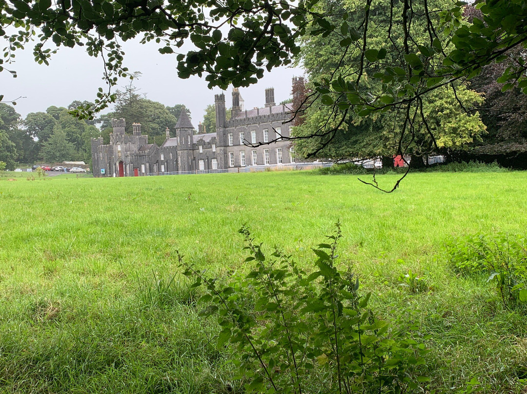 Tullynally Castle Gardens景点图片