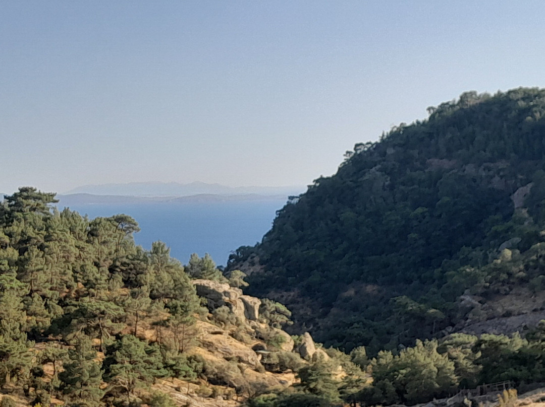 Erguvanli Ev主图