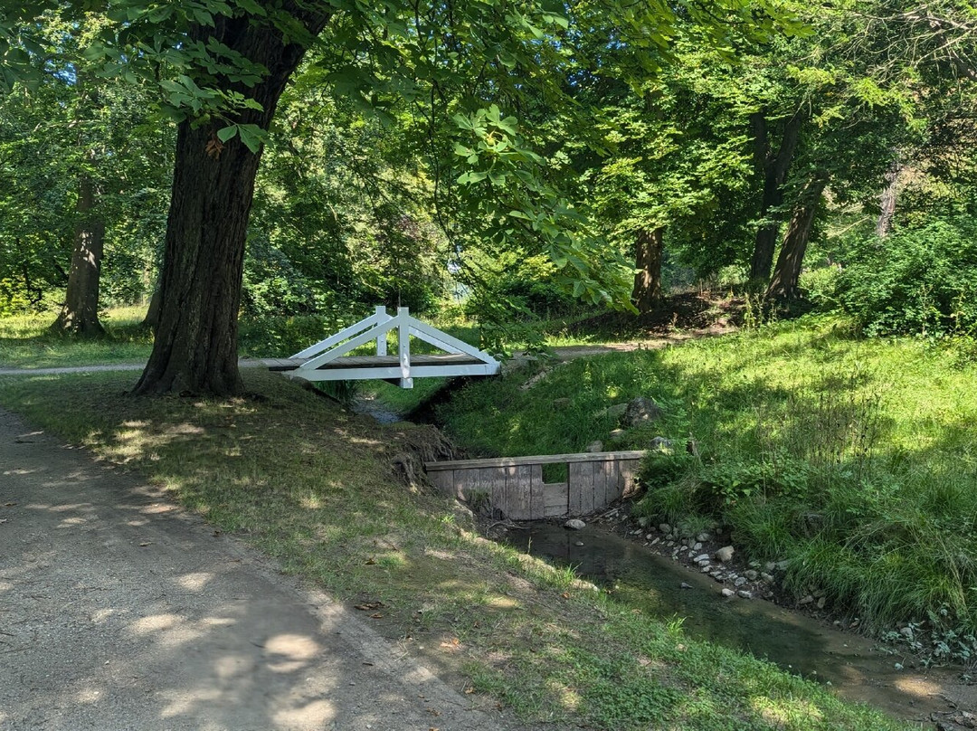 Eutiner Schlossgarten景点图片