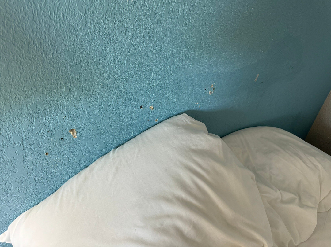 弗里蒙特戴斯酒店主图