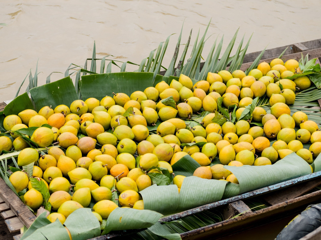 Làng Chợ Nổi Tân Phong