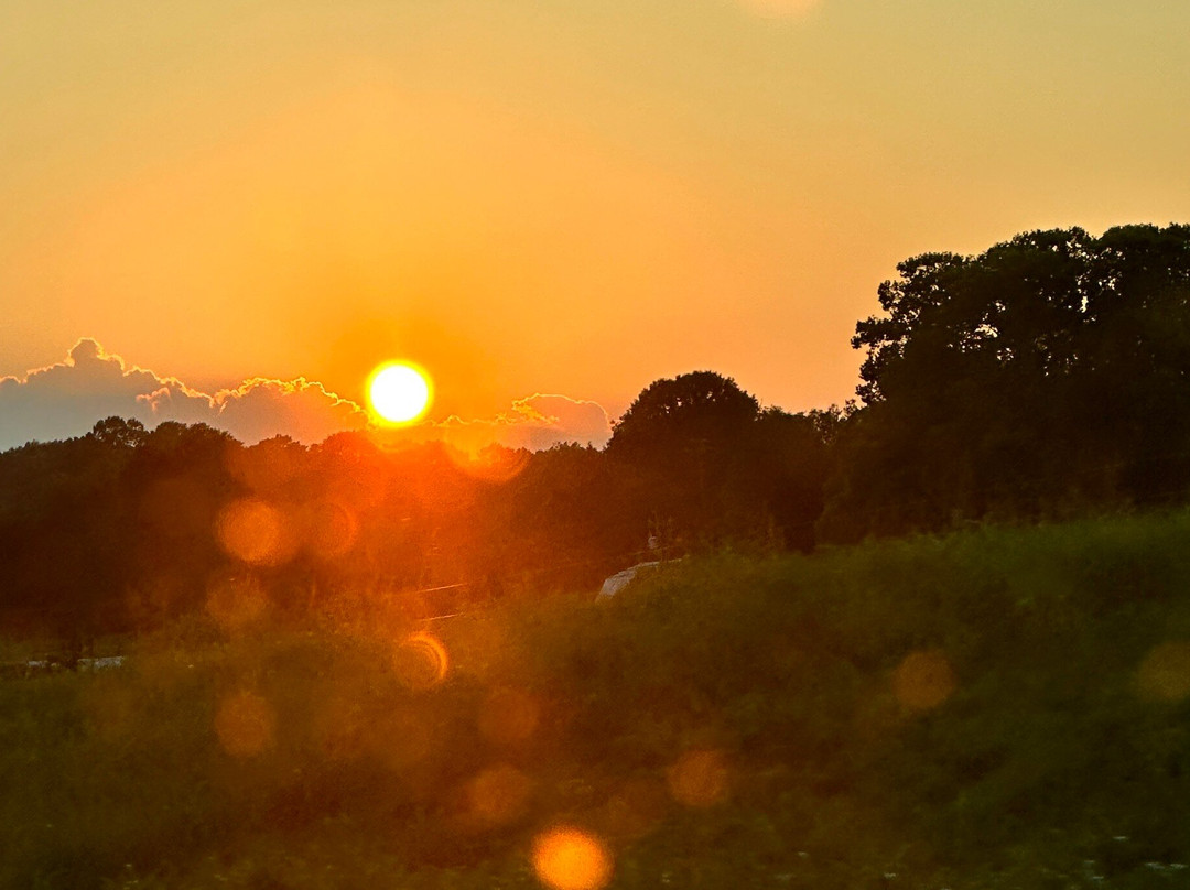 Natchez Trace Parkway Bridge-富兰克林必去景点
